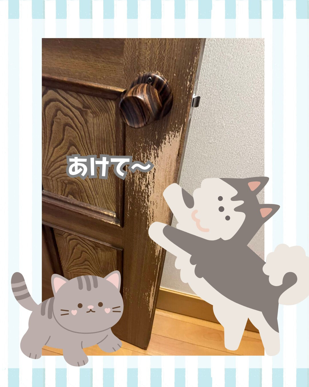 【ペットドア】こんにちは！まどありー
