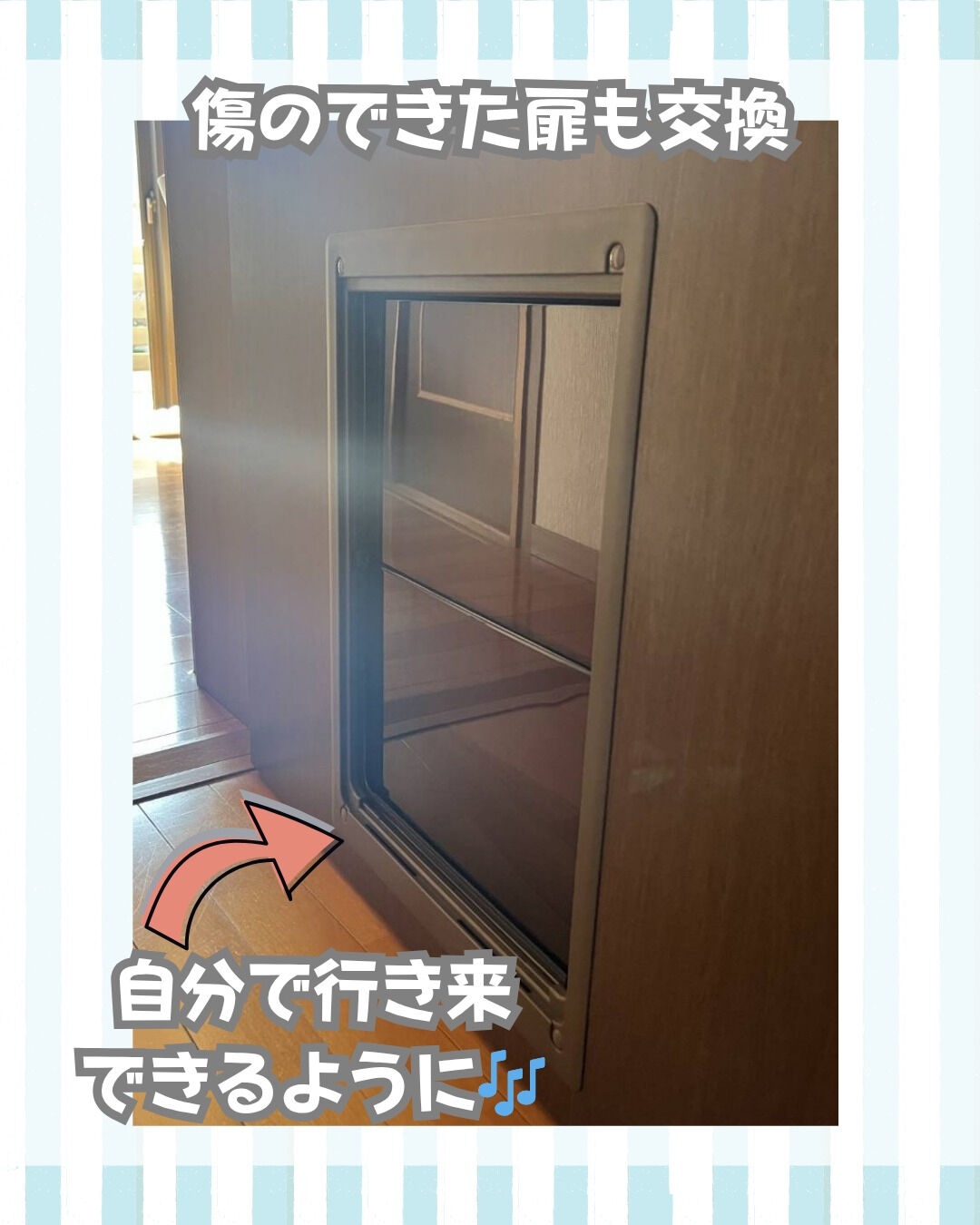 【ペットドア】こんにちは！まどありー